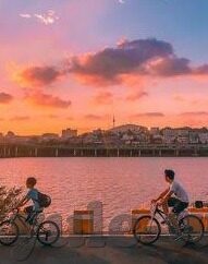 德州扑克带回-德州扑克，策略与技巧的回溯