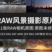 球探网足球即时比分007-深度解析，球探网足球即时比分007——球迷的战术罗盘与数据宝藏库